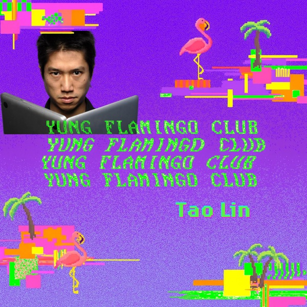 Episode artwork for the Tao Lin interview