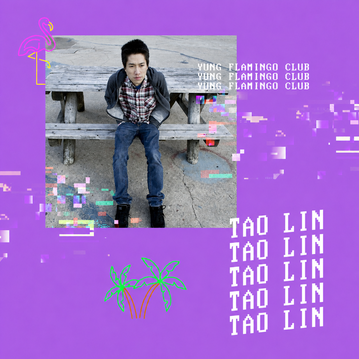 Episode artwork for the Tao Lin interview